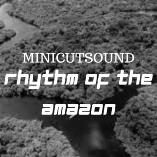 Rhythm of the Amazon