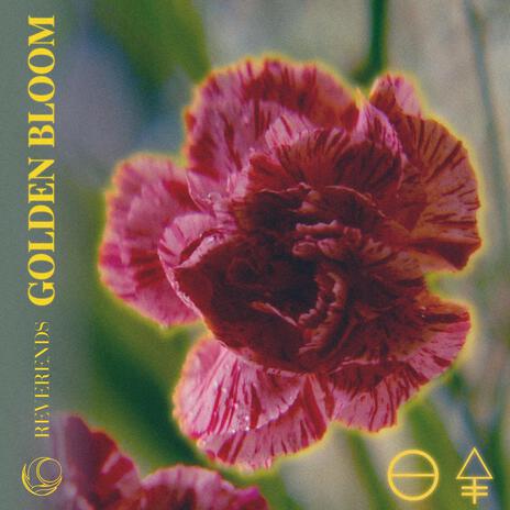 Golden Bloom | Boomplay Music