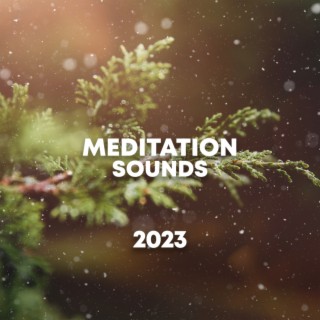 Meditation Sounds 2023