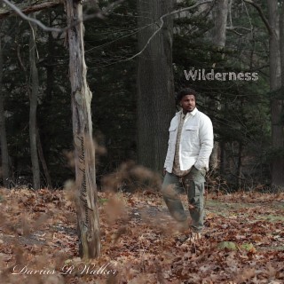 Wilderness