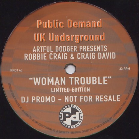 Woman Trouble (Remix) ft. Robbie Craig & Craig David | Boomplay Music