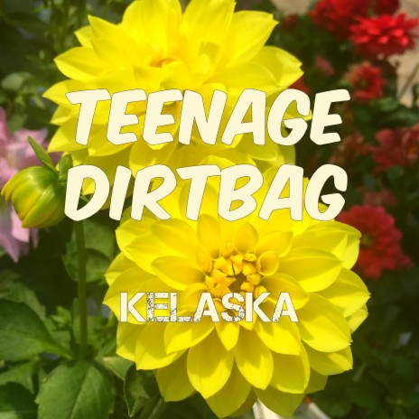 Teenage Dirtbag | Boomplay Music