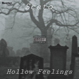 Hollow Feelings