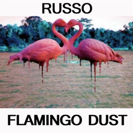 Flamingo Dust | Boomplay Music