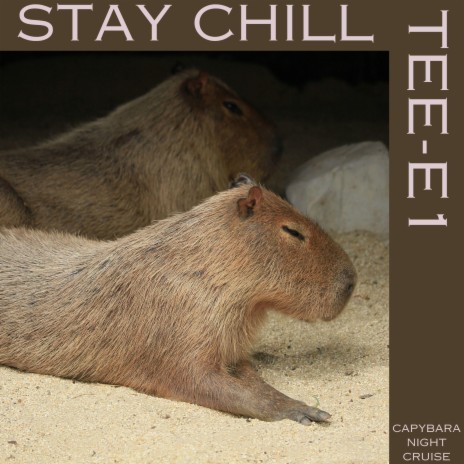 stay chill | Boomplay Music