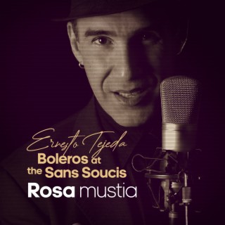 Boleros at the Sans Soucis - Rosa mustia