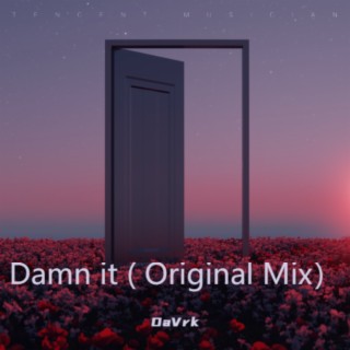 Damn it (Original Mix）