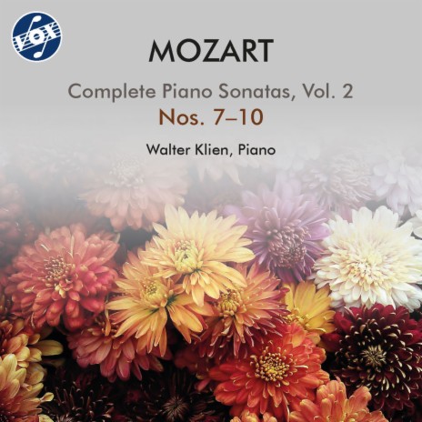 Piano Sonata No. 9 in D Major, K. 311: II. Andante con espressione | Boomplay Music