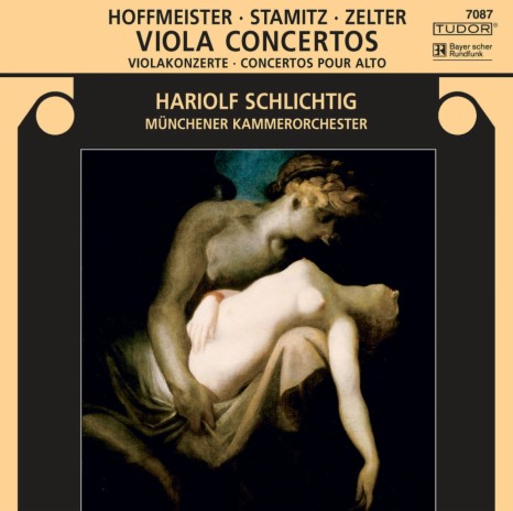 Viola Concerto in D Major, Op. 1: I. Allegro ft. Münchener Kammerorchester | Boomplay Music