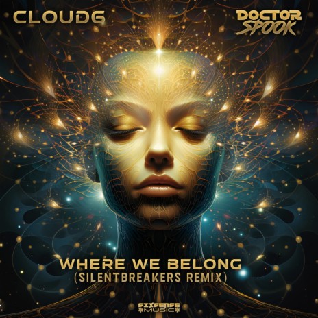 Where We Belong (SilentBreakers Remix) ft. DoctorSpook | Boomplay Music