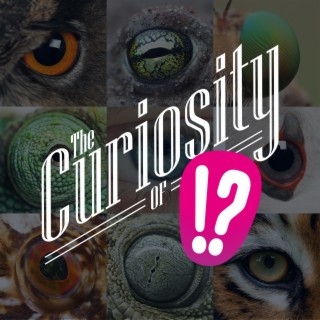 49: ️The Curiosity of Sight. How eyes work and how we discovered that.