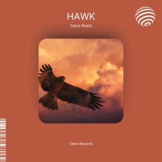 Hawk