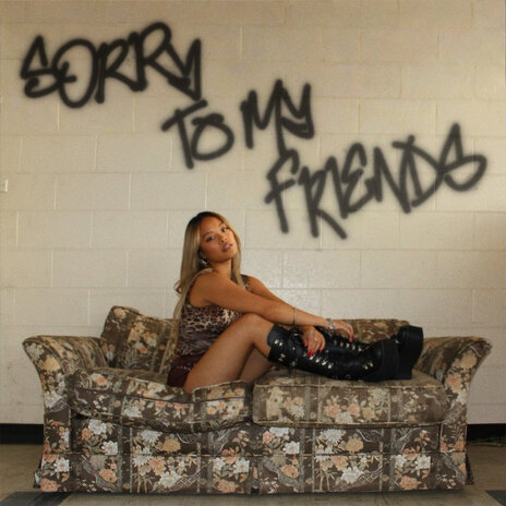 Sorry To My Friends | Boomplay Music