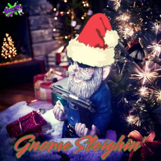 Gnome Sleighin'