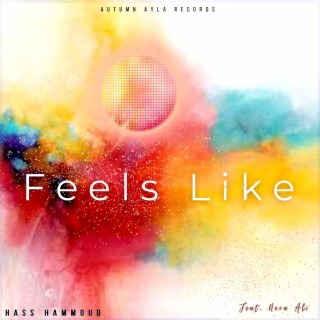 Feels Like ft. Nora Ali lyrics | Boomplay Music