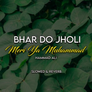 Bhar Do Jholi Meri Ya Muhammad Lofi