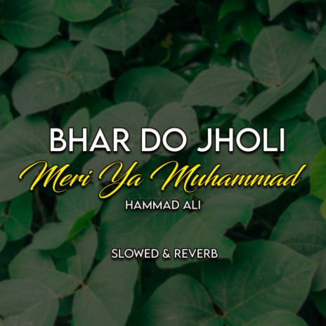 Bhar Do Jholi Meri Ya Muhammad Lofi | Boomplay Music