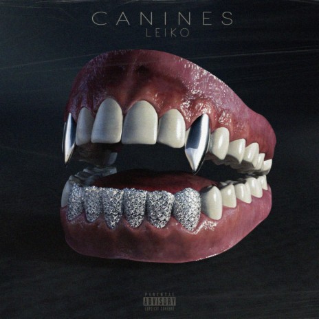 Canines