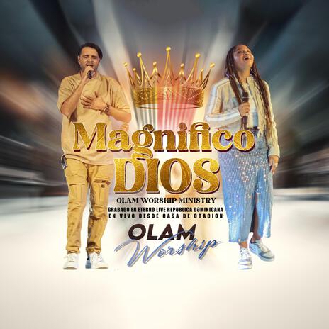 Magnifico Dios (Live) | Boomplay Music