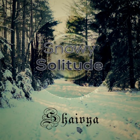 Snowy Solitude ft. Moinak Dutta | Boomplay Music