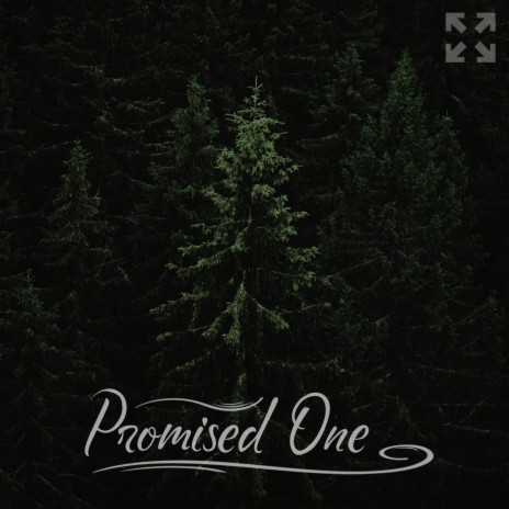 Promised One (feat. Nathan Seagraves)