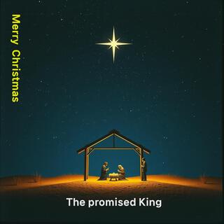 Christmas Worship: The promised King lyrics | Boomplay Music