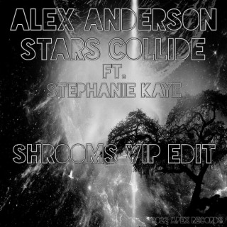 Stars Collide (Shrooms Remix Shrooms’ VIP Edit)