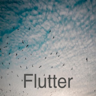 Flutter