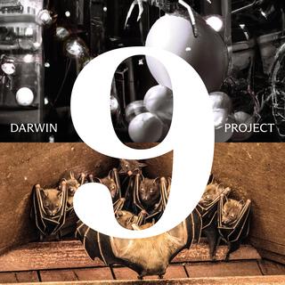 Darwin Project Year Nine