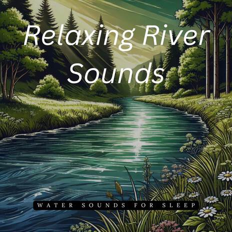 Quiet River Ambience | Boomplay Music