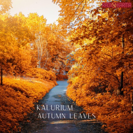 Autumn Leaves | Boomplay Music