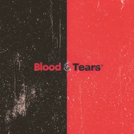 Blood & Tears | Boomplay Music