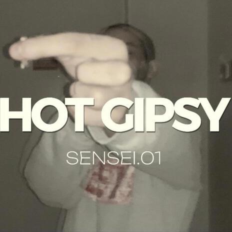 HOT GIPSY | Boomplay Music