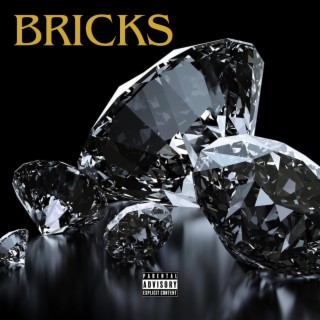 BRICKS