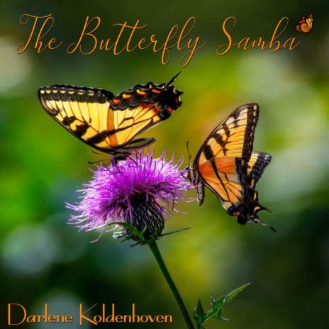 The Butterfly Samba | Boomplay Music