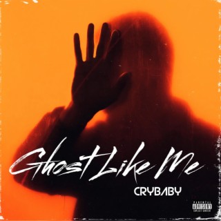 Ghost Like Me