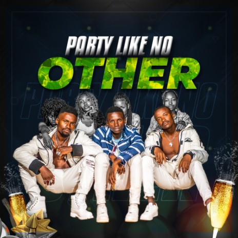 Party Like No Other (feat. Flowspah & Chrisam) | Boomplay Music