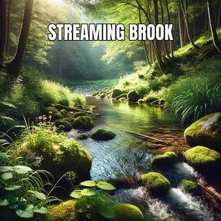 Streaming Brook