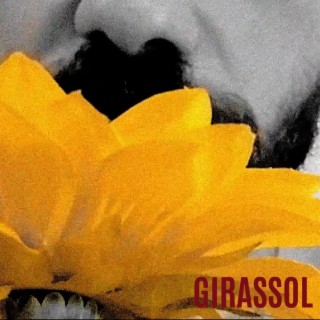 Girassol