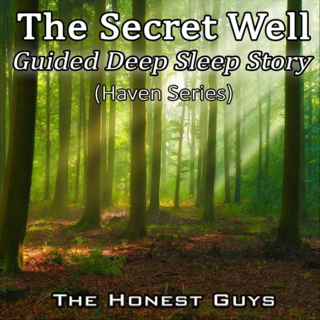 The Secret Well. Guided Deep Sleep Story (Haven Series) | Boomplay Music