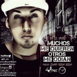 Muchos Me Quieren Otros Me Odian lyrics | Boomplay Music