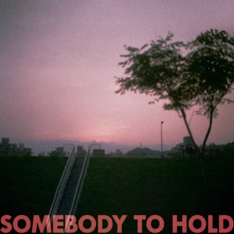 Somebody to Hold | Boomplay Music