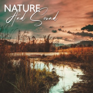 Nature And Sound