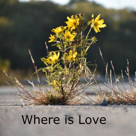 Where is Love ft. Suzanne Wendt & Jim Wendt
