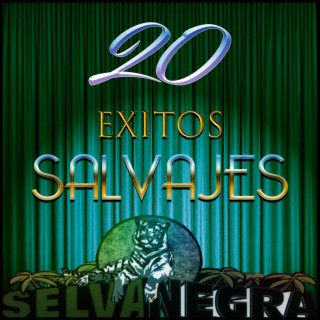 20 Éxitos Salvajes