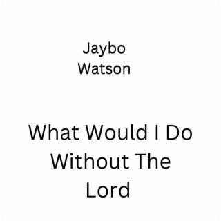 What Would I Do Without The Lord lyrics | Boomplay Music