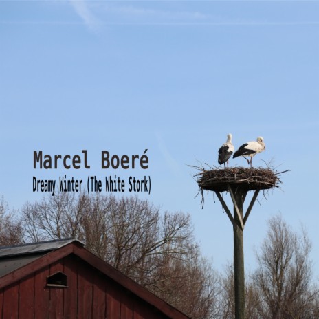 Dreamy Winter (The White Stork) (Karaoke Version) | Boomplay Music