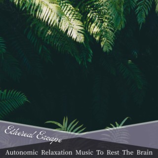 Autonomic Relaxation Music To Rest The Brain