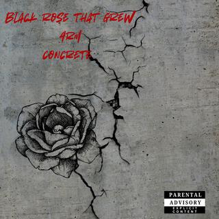 Black rose that grew 4rm concrete