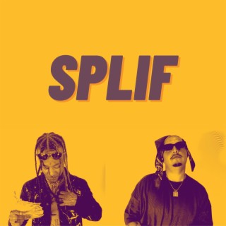 Splif